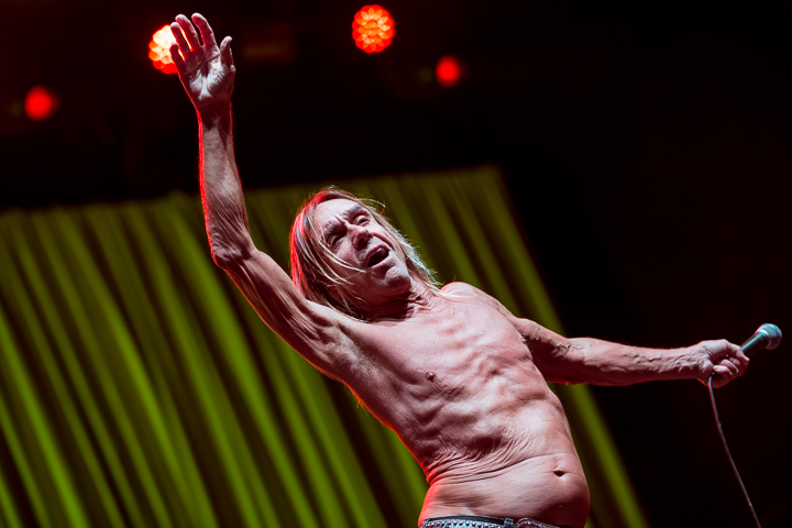 Iggy Pop @ Les Ardentes 2015, foto 6, foto's door Dorien Goetschalckx - FrontView Magazine