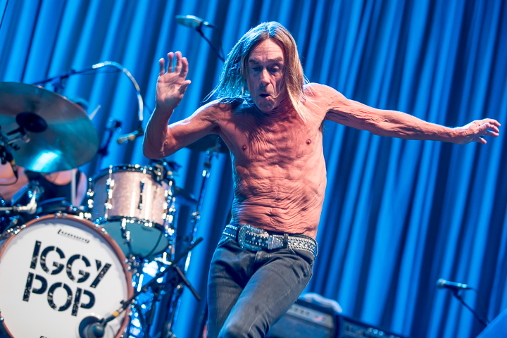 Iggy Pop @ Les Ardentes 2015, foto 7, foto's door Dorien Goetschalckx - FrontView Magazine