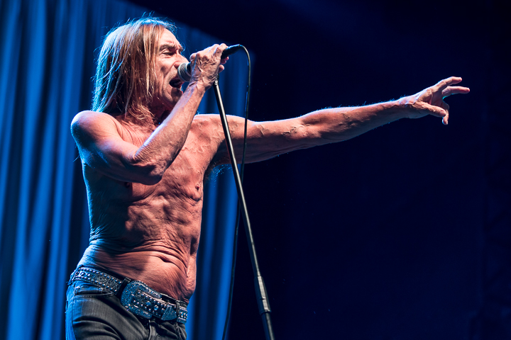 Iggy Pop @ Les Ardentes 2015, foto 12, foto's door Dorien Goetschalckx - FrontView Magazine