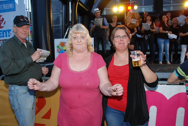 Vlaanderen Zingt @ Willebroek @ Willebroek 2015, foto 27, foto's door Peter Minnebo - FrontView Magazine