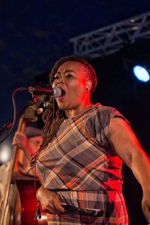 Jai Malano and the Rhythm Dudes @ Sjock Rock 2015, foto 5, foto's door Edwin Houdevelt - FrontView Magazine