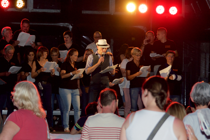 Vlaanderen Zingt Willebroek @ Willebroek 2015, foto 83, foto's door Bart Baevegems - FrontView Magazine