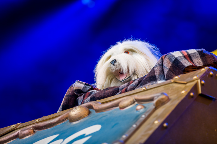 Marktrock for kids @ Marktrock Leuven 2015, picture 13, photographed by Kurt Jacobs - FrontView Magazine