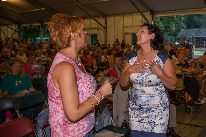 Podium & Sfeer @ Vlaanderen Zingt 2015 in Schoten, picture 22, photographed by Guy Danneels - FrontView Magazine