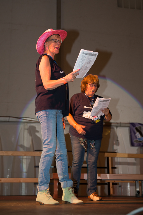 Podium & Sfeer @ Vlaanderen Zingt 2015 in Schoten, picture 57, photographed by Guy Danneels - FrontView Magazine