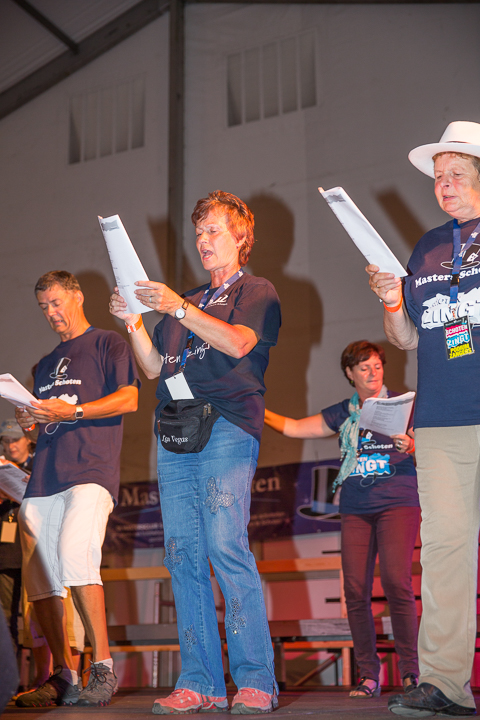 Podium & Sfeer @ Vlaanderen Zingt 2015 in Schoten, picture 65, photographed by Guy Danneels - FrontView Magazine