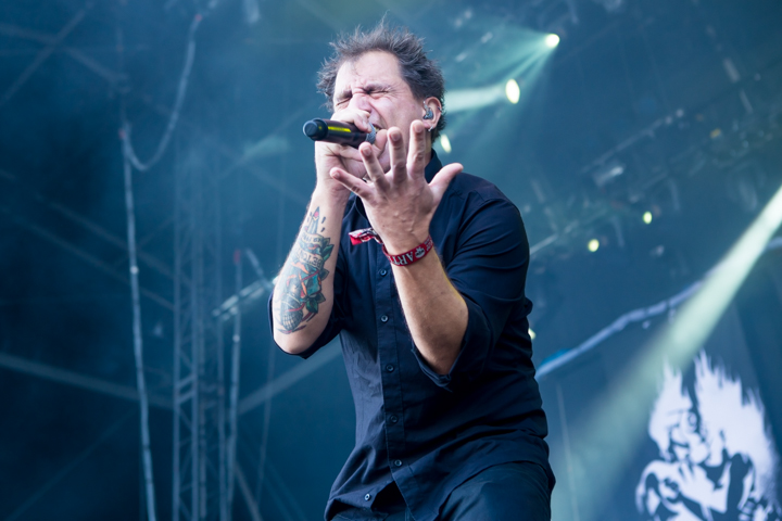 Betontod @ Summer Breeze 2015, picture 8, photographed by FrontView Magazine