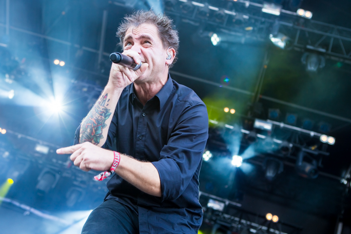 Betontod @ Summer Breeze 2015, picture 17, photographed by FrontView Magazine