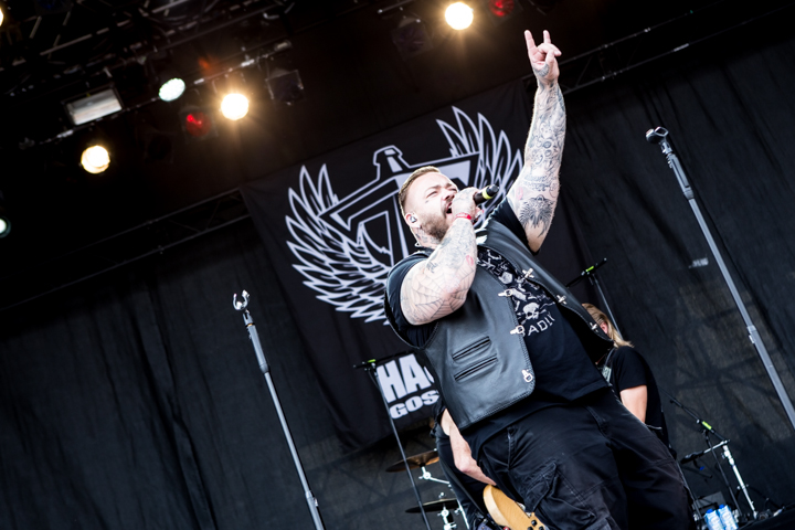 Haudegen @ Summer Breeze 2015, picture 2, photographed by Dorien Goetschalckx - FrontView Magazine