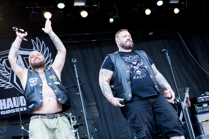 Haudegen @ Summer Breeze 2015, picture 14, photographed by Dorien Goetschalckx - FrontView Magazine