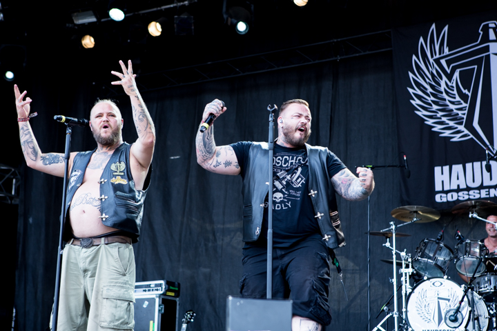 Haudegen @ Summer Breeze 2015, picture 16, photographed by Dorien Goetschalckx - FrontView Magazine