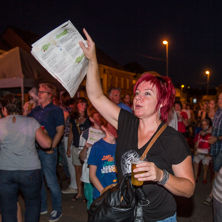 Podium & Sfeer @ Vlaanderen Zingt 2015 in St.-Katelijne-Waver, picture 37, photographed by Guy Danneels - FrontView Magazine
