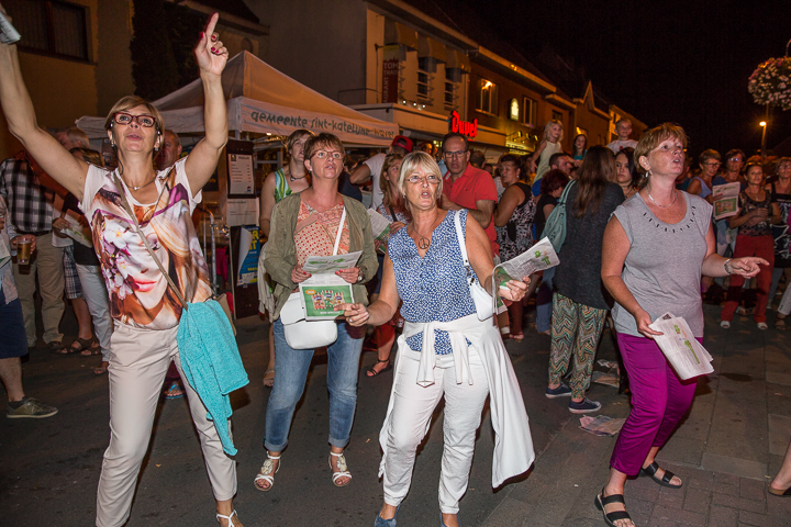 Podium & Sfeer @ Vlaanderen Zingt 2015 in St.-Katelijne-Waver, picture 78, photographed by Guy Danneels - FrontView Magazine