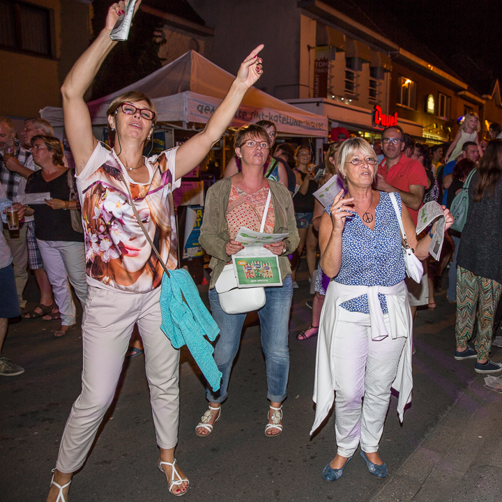 Podium & Sfeer @ Vlaanderen Zingt 2015 in St.-Katelijne-Waver, picture 79, photographed by Guy Danneels - FrontView Magazine