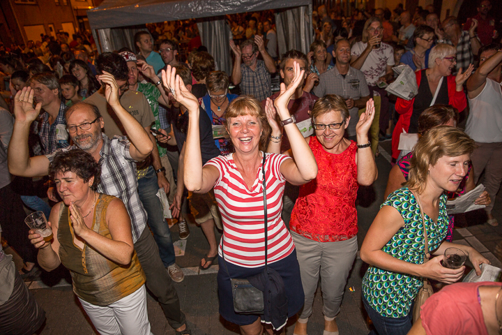 Podium & Sfeer @ Vlaanderen Zingt 2015 in St.-Katelijne-Waver, picture 87, photographed by Guy Danneels - FrontView Magazine