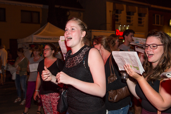 Publieksfoto's & Sfeer deel 2 @ Vlaanderen Zingt 2015 in St.-Katelijne-Waver, picture 82, photographed by Guy Danneels - FrontView Magazine