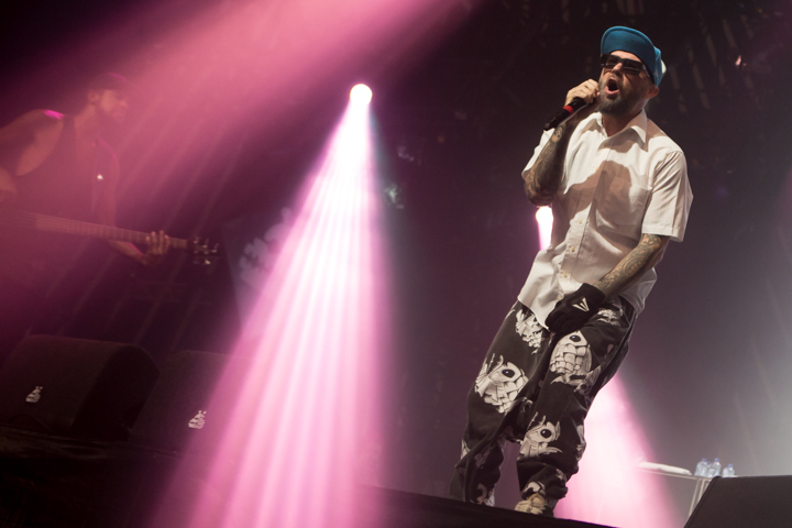 Limp Bizkit @ Lowlands 2015, picture 24, photographed by Dorien Goetschalckx - FrontView Magazine