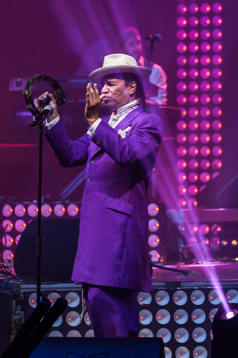 Studio 54 @ Sportpaleis, picture 69, photographed by Alex Wyckmans - FrontView Magazine