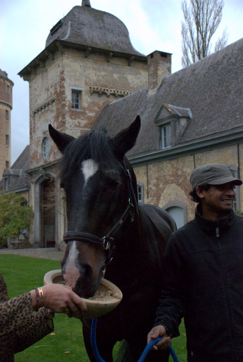 Boekvoorstelling Mariette Withages @ Kasteel van 's Gravenwezel, picture 10, photographed by Peter Minnebo - FrontView Magazine