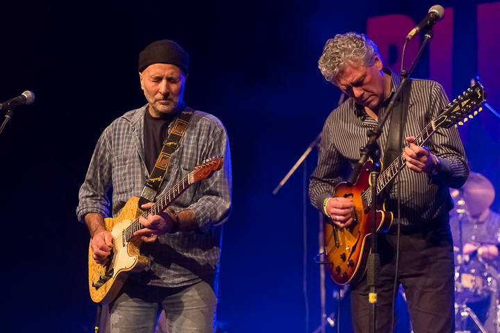 Maxwell street band @ Blues in Schoten, picture 4, photographed by Marc Verdonck - FrontView Magazine