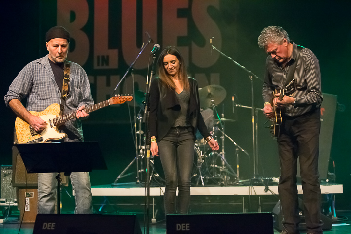 Maxwell street band @ Blues in Schoten, picture 6, photographed by Marc Verdonck - FrontView Magazine