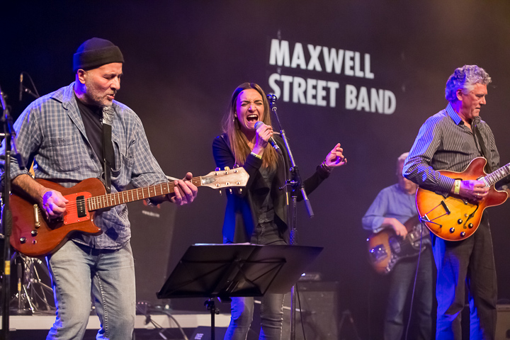 Maxwell street band @ Blues in Schoten, picture 10, photographed by Marc Verdonck - FrontView Magazine