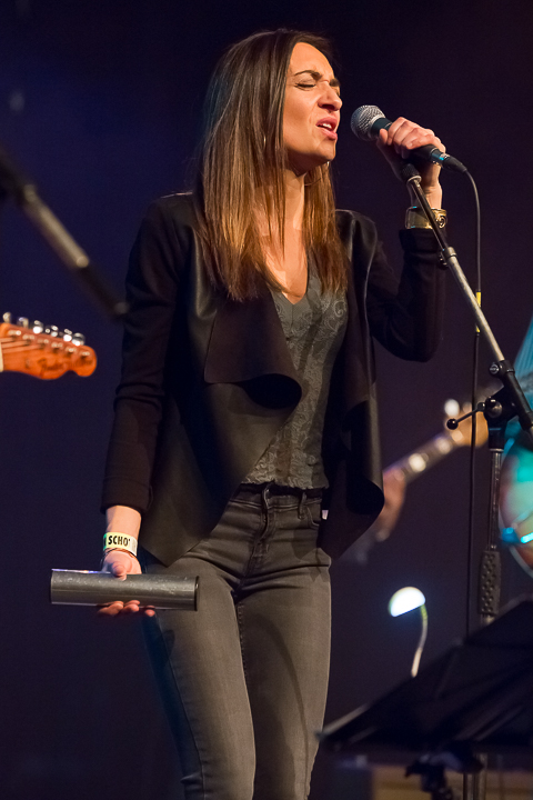 Maxwell street band @ Blues in Schoten, picture 15, photographed by Marc Verdonck - FrontView Magazine