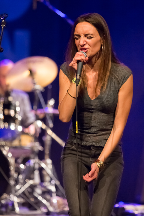 Maxwell street band @ Blues in Schoten, picture 24, photographed by Marc Verdonck - FrontView Magazine