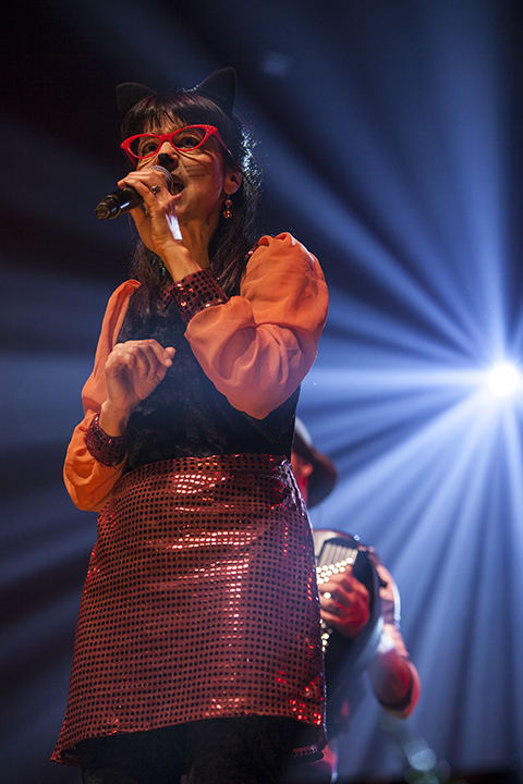 Kapitein Winokio - Berenconcerten @ AB Brussel, picture 11, photographed by Frank Lambrechts - FrontView Magazine