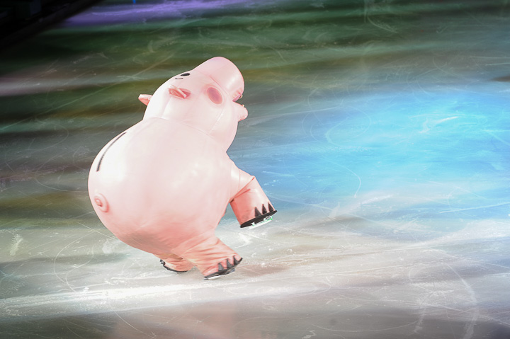 Disney on Ice 2016 - Betoverende Werelden @ Lotto Arena, picture 46, photographed by Goele Bormans - FrontView Magazine
