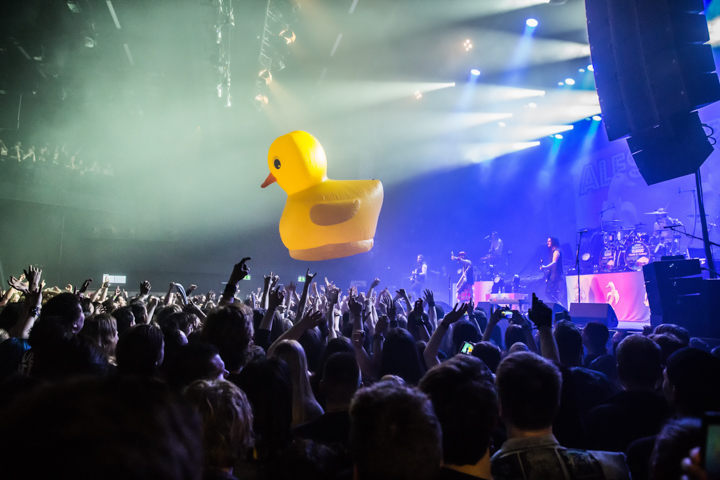 Alestorm @ 013, foto 7, foto's door Dorien Goetschalckx - FrontView Magazine