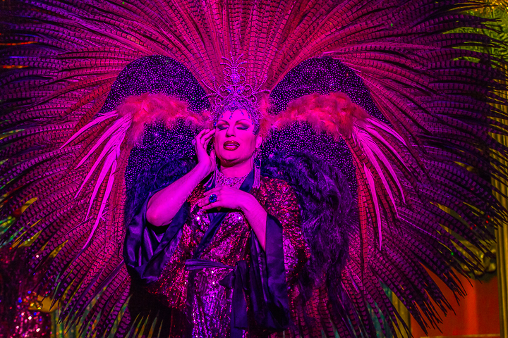 Persconferentie 'La Cage aux Folles' @ Mask'ara te Borsbeek, foto 15, foto's door Guy Danneels - FrontView Magazine