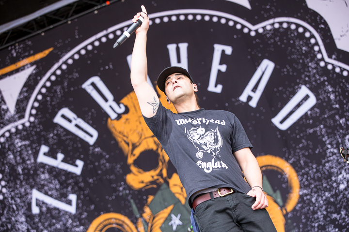 Zebrahead @ NOVA ROCK 2016, foto 17, foto's door Dorien Goetschalckx - FrontView Magazine