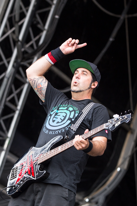 Zebrahead @ NOVA ROCK 2016, foto 21, foto's door Dorien Goetschalckx - FrontView Magazine
