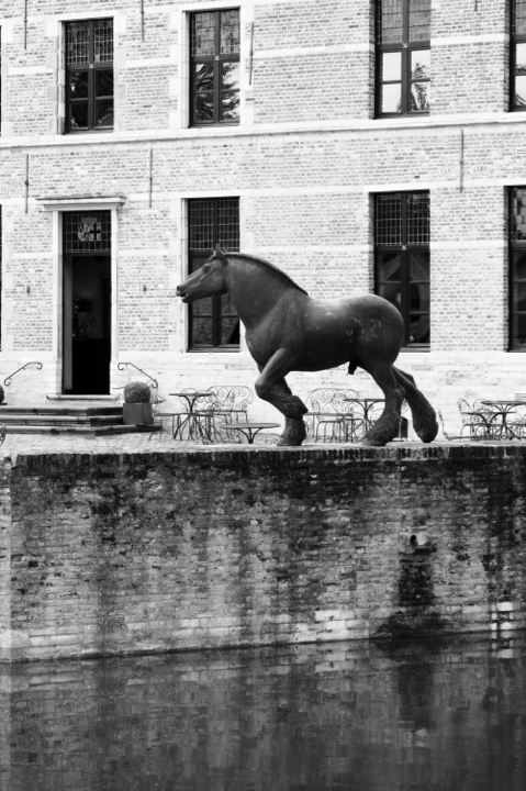Engie Parkies 2016 persvoorstelling @ kasteel Diepensteyn, picture 5, photographed by Bart Baevegems - FrontView Magazine