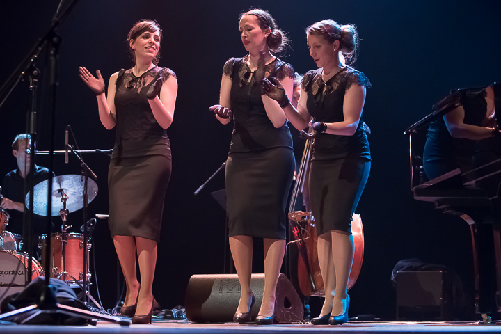 Benefiet voor Café Kiebooms @ De Roma, picture 15, photographed by Marc Verdonck - FrontView Magazine