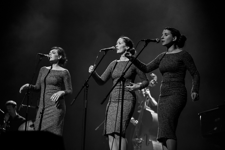 Benefiet voor Café Kiebooms @ De Roma, picture 25, photographed by Marc Verdonck - FrontView Magazine