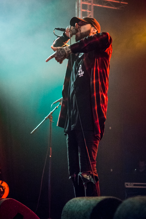 Deez Nuts @ Jera On Air '16, foto 4, foto's door Erwin Evrard - FrontView Magazine