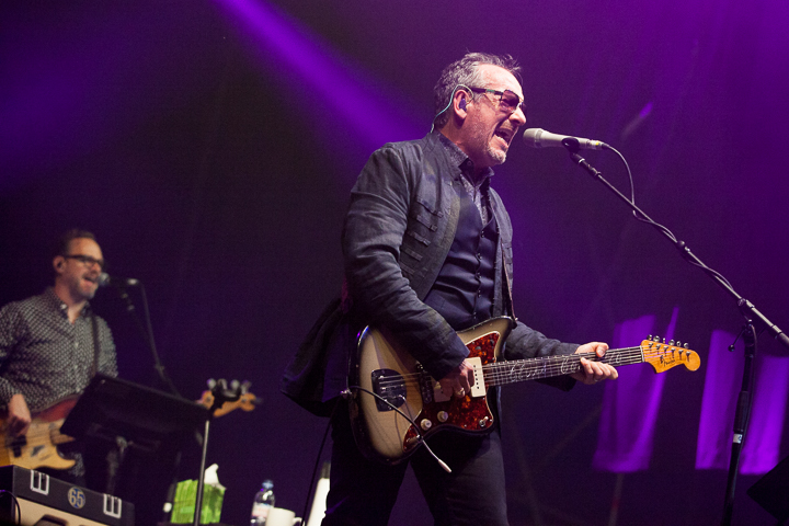 Elvis Costello & The Imposters @ Rock Zottegem 2016, picture 1, photographed by Dorien Goetschalckx - FrontView Magazine