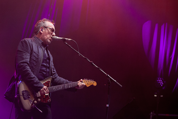 Elvis Costello & The Imposters @ Rock Zottegem 2016, picture 4, photographed by Dorien Goetschalckx - FrontView Magazine