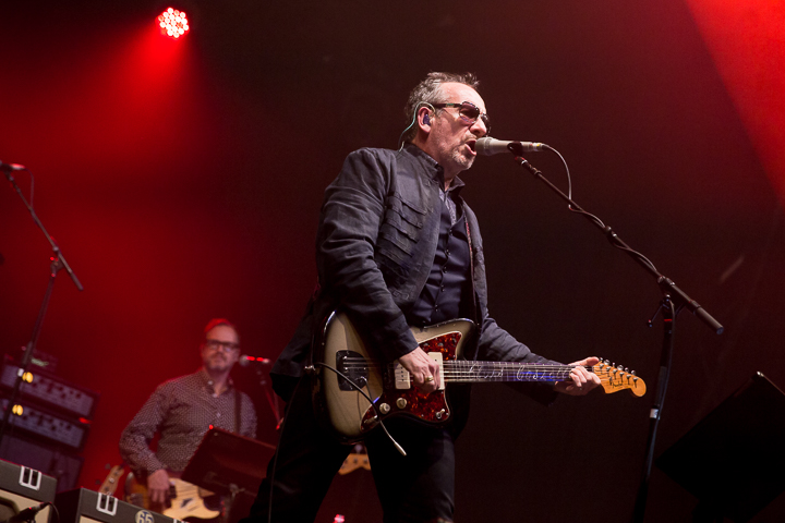 Elvis Costello & The Imposters @ Rock Zottegem 2016, picture 6, photographed by Dorien Goetschalckx - FrontView Magazine