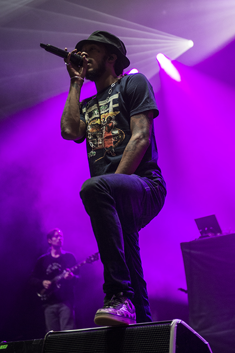 CARIBBEAN DANDEE feat Joeystarr & Nathy brussel summer festival, picture 9, photographed by Tom  Lammens - FrontView Magazine