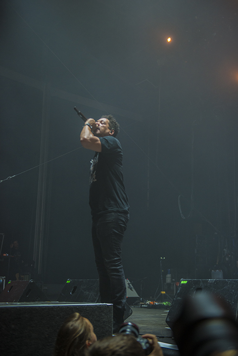 CARIBBEAN DANDEE feat Joeystarr & Nathy brussel summer festival, picture 11, photographed by Tom  Lammens - FrontView Magazine
