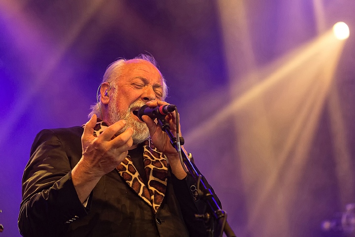 Urbanus & De Fanfaar @ Boerenrock 2016, foto 27, foto's door Edwin Houdevelt - FrontView Magazine