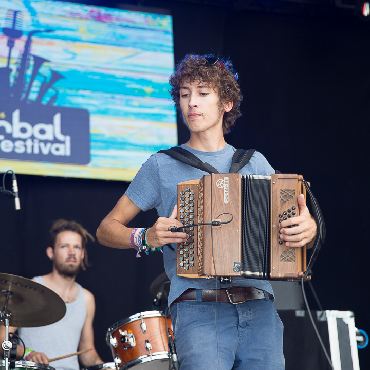 Bazz-Quartet @ BoombalFestival Dag 2 Lovendegem, picture 13, photographed by Guy Danneels - FrontView Magazine