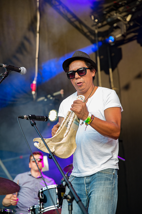 Los Callejeros @ BoombalFestival Dag 2 Lovendegem, picture 13, photographed by Guy Danneels - FrontView Magazine