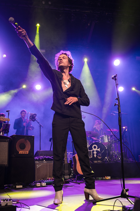 Radio 1 Prince Sessies @ OLT Rivierenhof, picture 10, photographed by Jan van Hecke - FrontView Magazine