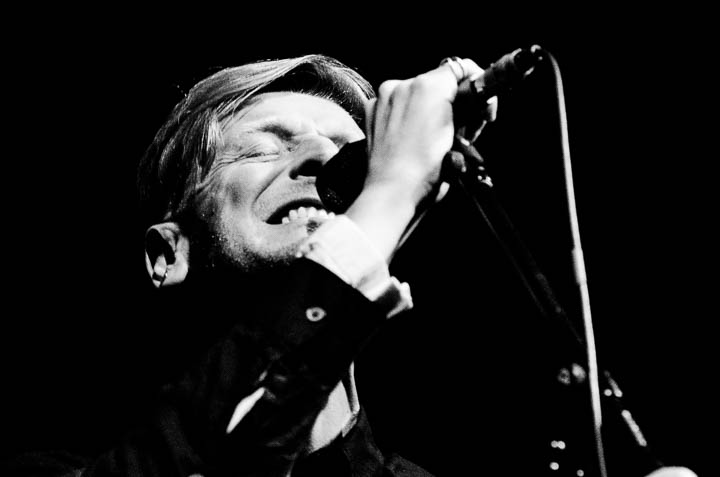 Harmony is Paramount - Ozark Henry met strijkerskwartet @ Het Depot, picture 3, photographed by Bieke Boonen - FrontView Magazine