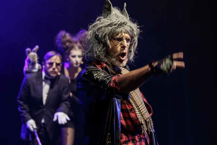 Musical "De 3 Biggetjes" gebracht door Wysiwyg @ CC De Mol, picture 2, photographed by Alex Wyckmans - FrontView Magazine