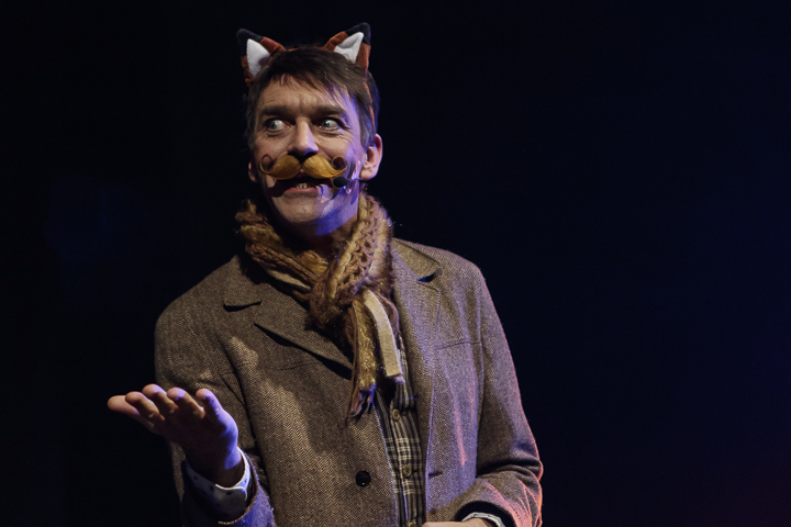Musical "De 3 Biggetjes" gebracht door Wysiwyg @ CC De Mol, picture 4, photographed by Alex Wyckmans - FrontView Magazine